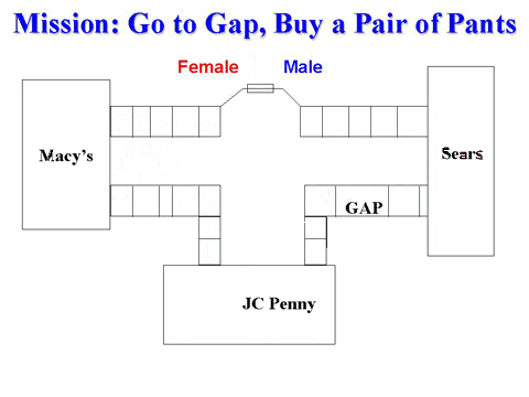 Men vs. Women Shopping